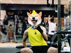 -威尔仕健身(金茂店)