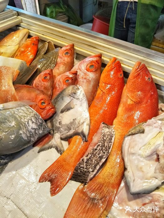 金砂阿洲鱼册店图片
