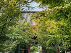 -醍醐寺