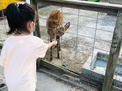 -前小桔亲子创意农场·草莓采摘·露营烧烤