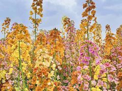 -中国天府农业博览园