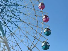 -巨鹏飞梦幻海岸