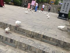 -白鹿原影视城