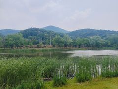 -石塘人家