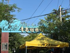 -青岛动物园