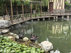 -天毓山庄·餐厅