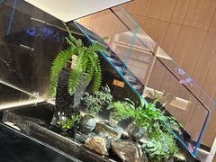 -连鹭海鲜·海肠捞饭·海胆饭(星海店)