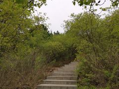 -北京西山国家森林公园