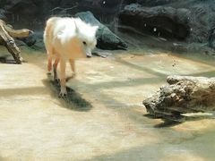-西安曲江海洋极地公园