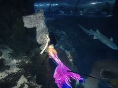 -太平洋海底世界