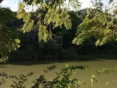 -曼听御花园