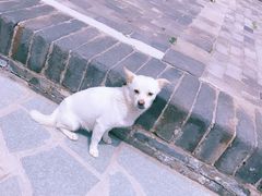 -鸡鸣山旅游风景区