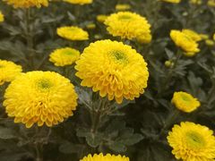 -共青国家森林公园-售票处