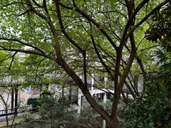 -敬亭山风景名胜区