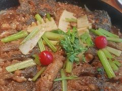 -老板恋上鱼(恒隆广场店)