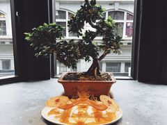 -三号黄浦会Canton Table