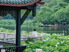 -桂湖森林公园