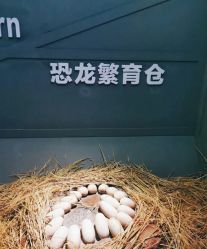 -恐龙探索乐园(磁器口店)