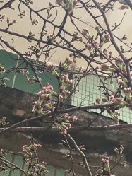 -晴川假日酒店·宴会厅·会议厅