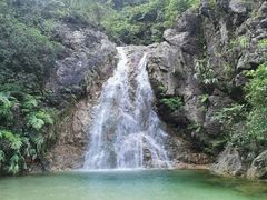 -南海湾森林生态园