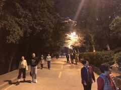 -武汉大学-樱园