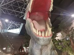 -湖南省地质博物馆