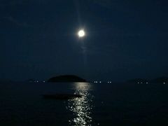 -越海渔村