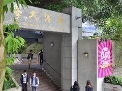 -香港大学