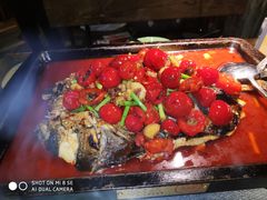 -探鱼·鲜青椒爽麻烤鱼(苏宁广场店)