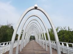 -大兴滨河森林公园