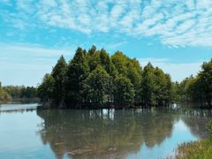 -贡湖湾湿地公园