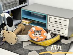 -凯特喵百思猫专科医院