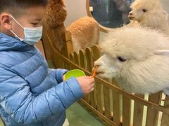 -藦茜花园宠物主题亲子互动体验馆(国顺东路店)