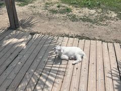 -乌村