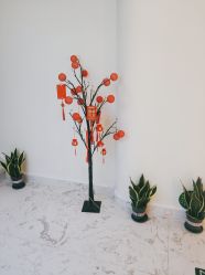 -海涛医疗美容·面部抗衰·注射美鼻