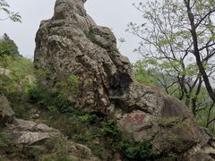 -涂山风景区