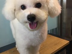 -PETKIT小佩宠物(古北店)