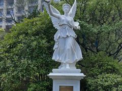 -星光岛