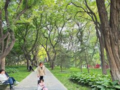-玲珑塔公园
