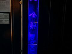 -金矿KTV(新会店)