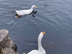 -台州府城(东湖)