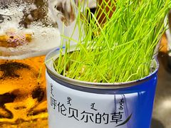 -很久以前羊肉串(清河店)