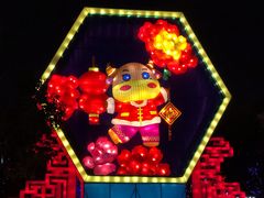 -武汉园博园(武汉自然博物馆)