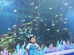 -常州海昌海洋探索馆