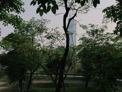 -深圳湾公园(南山区)