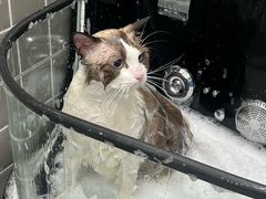 -它主义宠物(梁溪万达店)