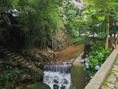 -莫干山风景区
