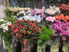 -FEI FEI FLOWER鲜花店·气球派对·宝宝宴布置(虹口德必运动Loft店)