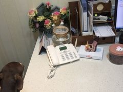 -宠爱国际动物医院· 猫科· 外科·中兽医(长白店)