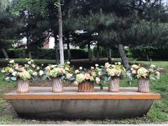 -长白岛森林公园